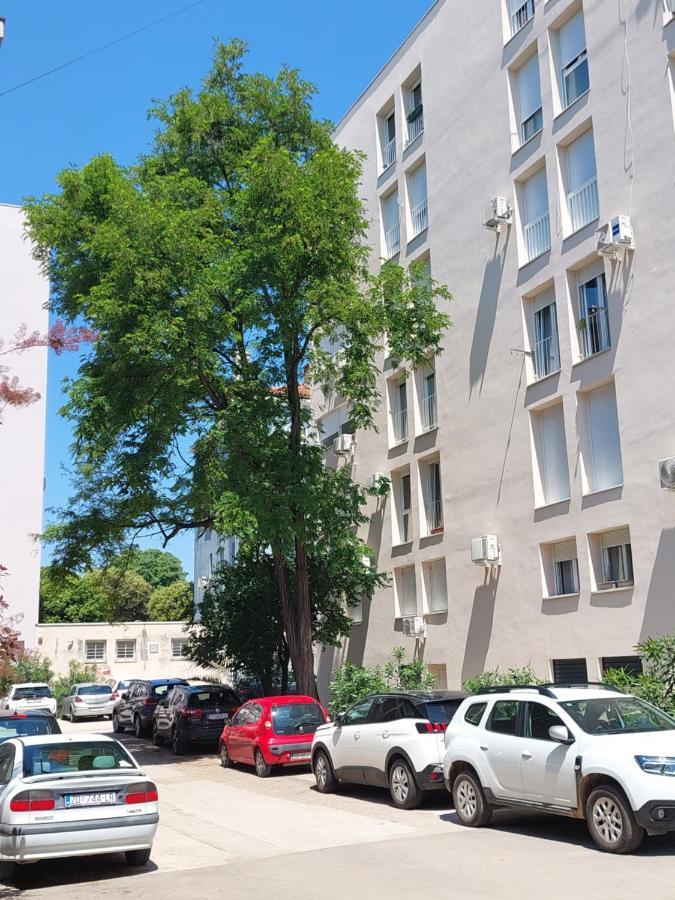Marinero Apartment زادار المظهر الخارجي الصورة